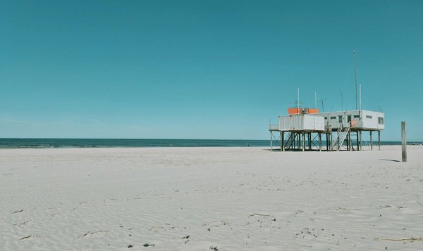 Quelle croisière propose des excursions pour découvrir les temples shintoïstes au Japon?