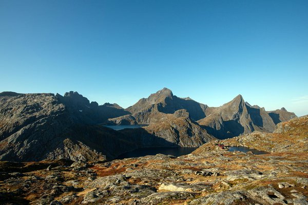 Où participer à une expédition de pêche au saumon en Norvège?