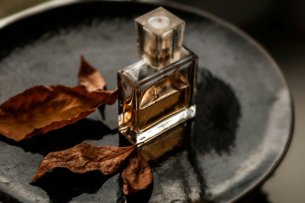 Quelles croisières proposent des ateliers de création de parfums en France?