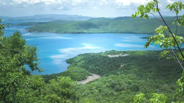 Quels sont les meilleurs itinéraires pour un voyage en train panoramique en Suisse?