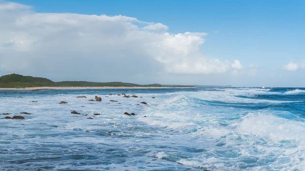 Comment organiser une visite des châteaux de la Route des Vins en Alsace, France : itinéraires et dégustations ?